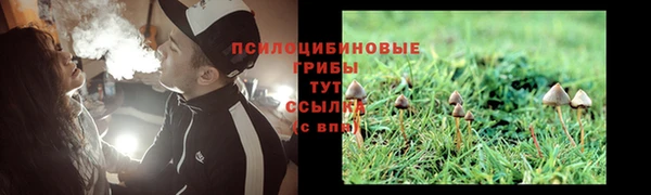каннабис Инта