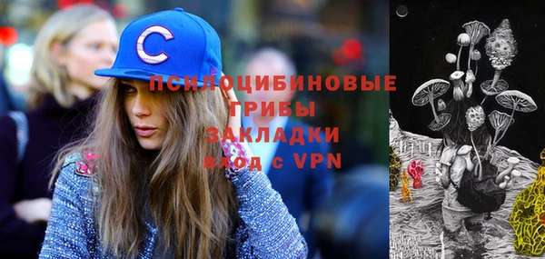соль курить ск Инсар