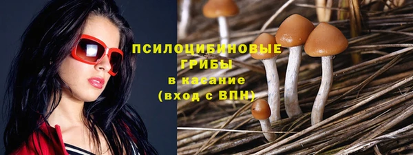 каннабис Инта